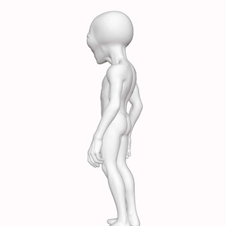 その他 Grey type Alien figure modeled object その他 Grey type Alien figure modeled object Roswell Grey
